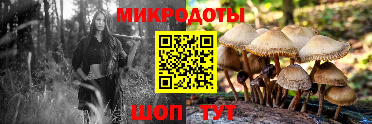 Железноводск  Галлюциногенные грибы мухоморы  Вход с VPN 